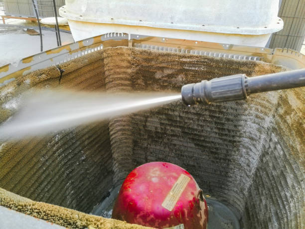 Best Air Duct Inspection  in Roseau, MN