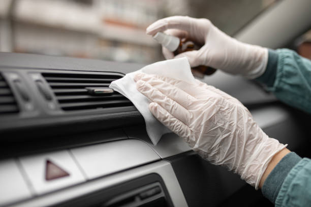 Best Home Air Vent Cleaning  in Roseau, MN