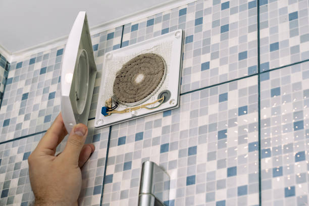 Best Affordable HVAC Duct Cleaning  in Roseau, MN
