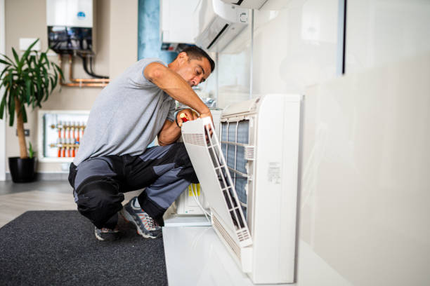 Best Affordable HVAC Duct Cleaning  in Roseau, MN