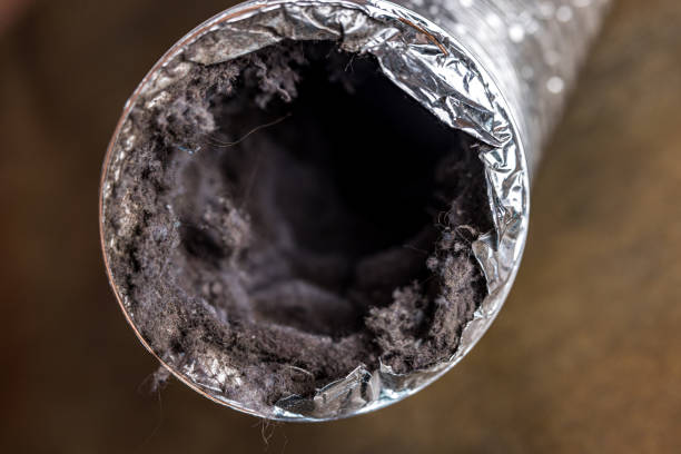 Best Commercial Air Duct Cleaning  in Roseau, MN