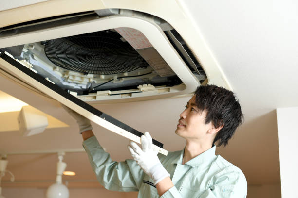 Best Air Duct Cleaning Near Me  in Roseau, MN