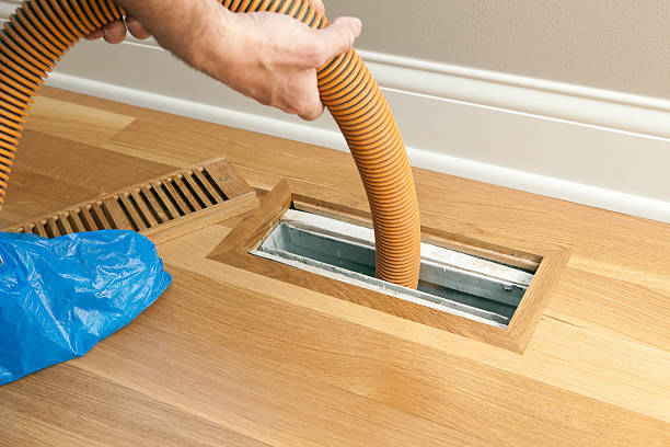 Best Affordable Air Duct Cleaning  in Roseau, MN