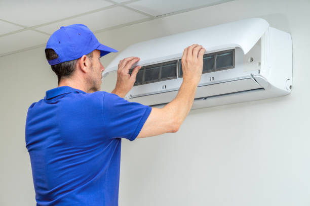 Best Commercial Air Duct Cleaning  in Roseau, MN