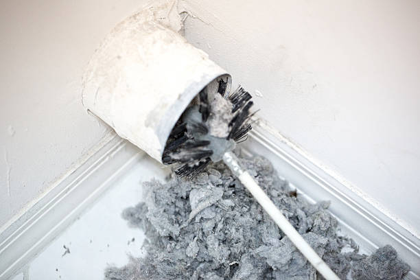 Best Dryer Vent Cleaning Services  in Roseau, MN