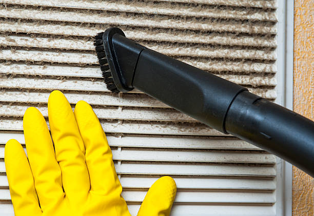 Best Professional Duct Cleaning Services  in Roseau, MN