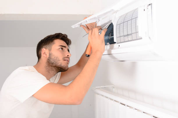 Best Ventilation Cleaning Services  in Roseau, MN