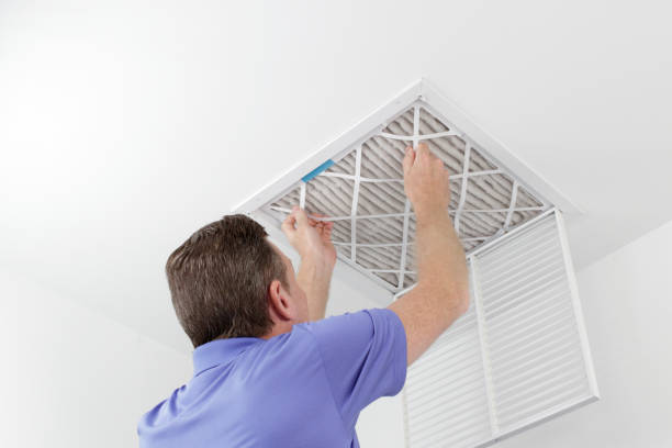 Best Home Air Vent Cleaning  in Roseau, MN